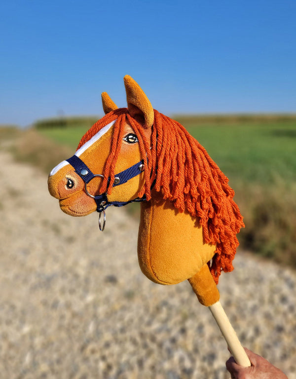 Steckenpferd A4 - Chestnut Horse A4