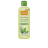 Natural Honey - Green Tea eau de cologne 700 ml