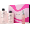 Ref - Illuminate Color Case 3 pcs
