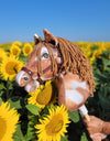 Premium Hobby Horse - Tobiano Baybraun A3