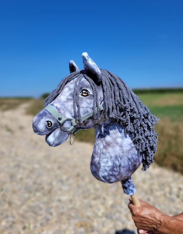 Premium Steckenpferd / Hobby Horse - Apfelschimmel mit Grau A3