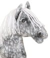 Premium Steckenpferd / Hobby Horse – Apfelschimmel mit weißem A3