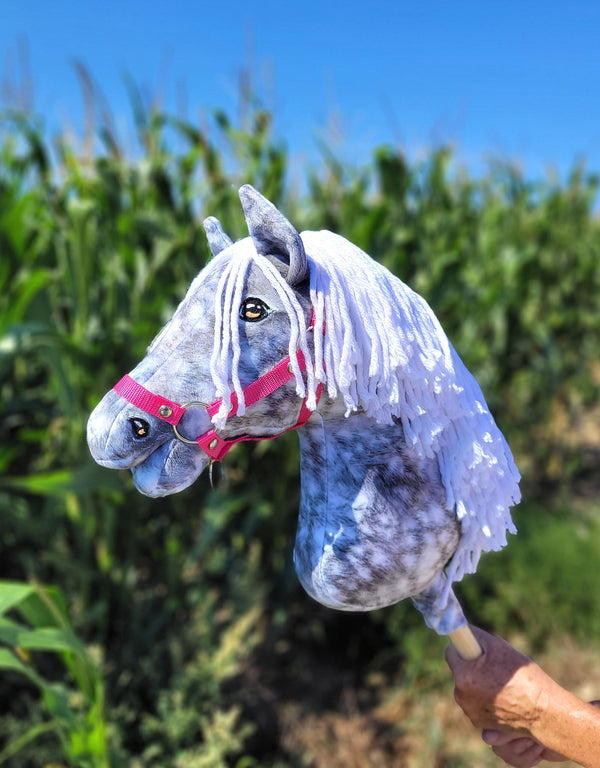 Premium Steckenpferd / Hobby Horse – Apfelschimmel mit weißem A3