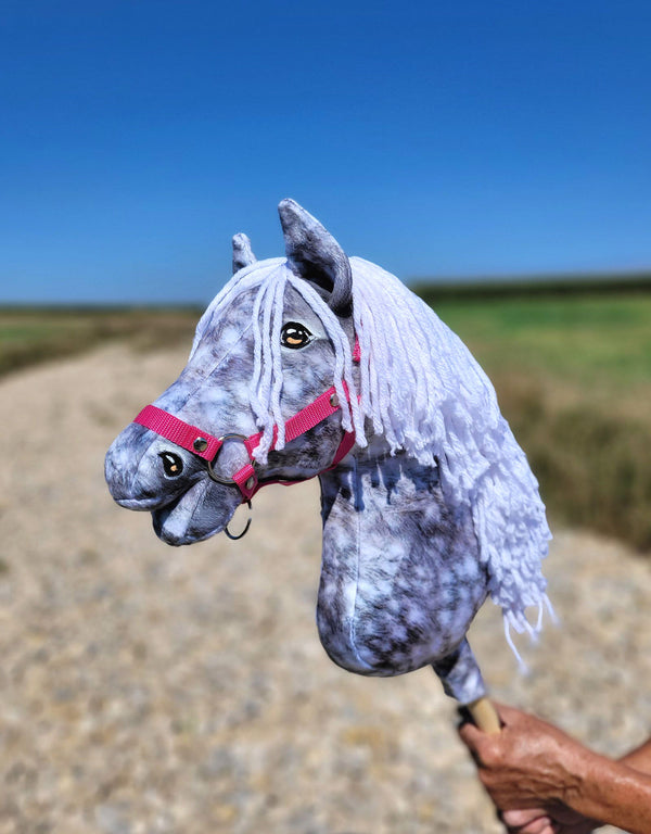 Premium Steckenpferd / Hobby Horse – Apfelschimmel mit weißem A3
