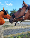 Premium Steckenpferd / Hobby Horse - Hellbraunes Pferd A3