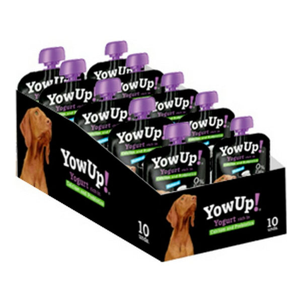 YowUp Koiran Jogurtti 10 kpl