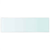 Klares Regalpaneel Arlena 80x25cm