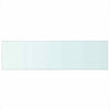 Klares Regalbrett Arlena 90x25cm