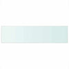 Klares Regalbrett Arlena 100x25cm