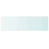 Klares Regalbrett Arlena 100x30cm