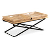 Couchtisch Traian 110x55x42cm (Massivholz Mangobaum)