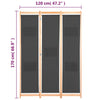 Grauer Raumteiler Iren 120x170x4cm (3-teilig, Stoff)