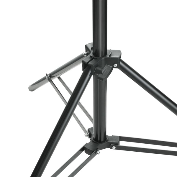 Fotohintergrundsystem 600x300 cm Schwarz