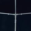 Blaues Partyzelt Dam 3x9 m