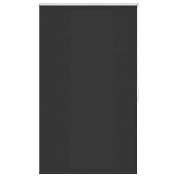 Alfredsson Blackout-Rollo 80x175cm