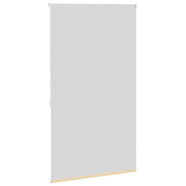 Beiges Verdunkelungsrollo Alfredsson 100x175cm