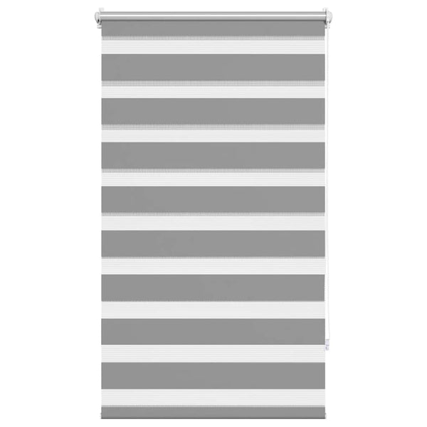 Graues Zebra-Rollo Seusen 70x120cm