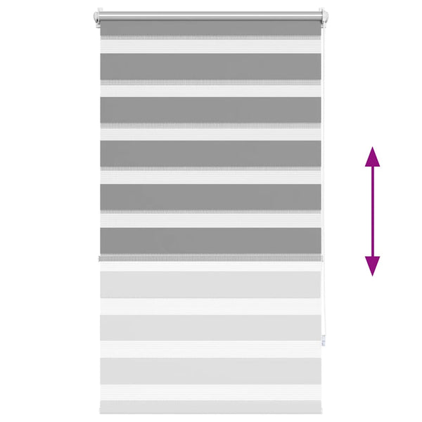 Graues Zebra-Rollo Seusen 70x120cm