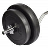 Curlstange und Gewichte 30 kg