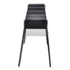 BBQ Holzkohlegrill Paraschivuta 75x28cm