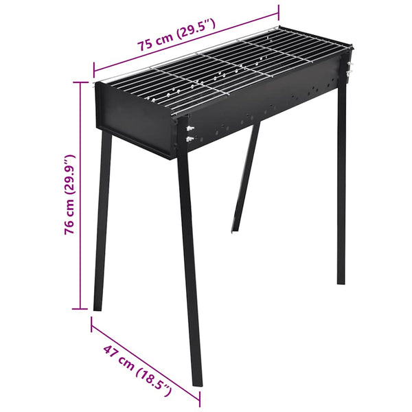 BBQ Holzkohlegrill Paraschivuta 75x28cm