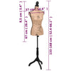 Braune und schwarze Schaufensterpuppe Torso Frau Hilea