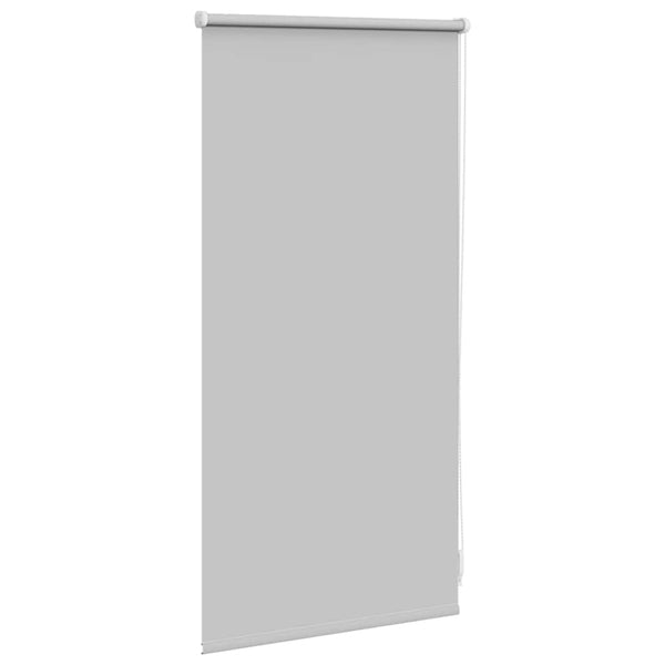 Graues Verdunkelungsrollo Alfredsson 40x100cm