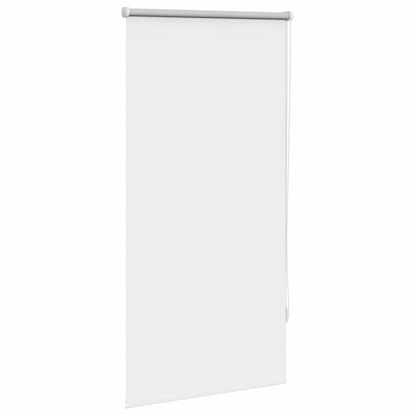 Valkoinen pimentävä rullaverho Alfredsson 60x120cm