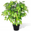 Kunstpflanze Bonsai-Ficus Hebert 60cm (im Topf)