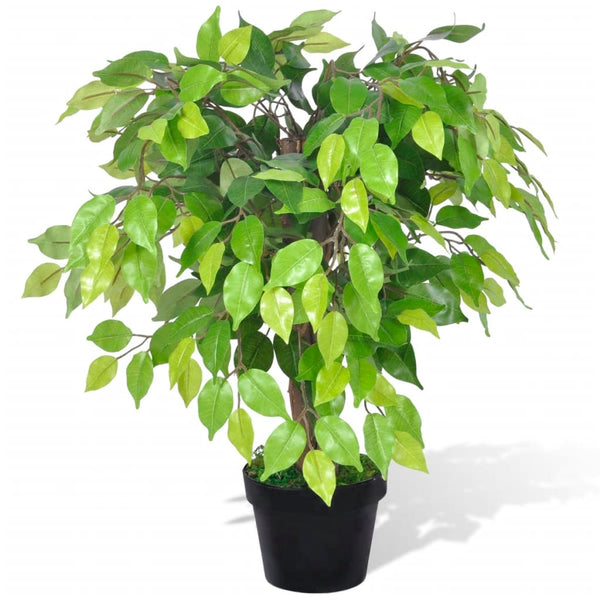 Kunstpflanze Bonsai-Ficus Hebert 60cm (im Topf)