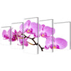 Bilderserie Orchidee Albei 200x100cm