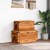 Aufbewahrungstruhen-Set Barakonyi (2 Stück grobes Mangoholz)