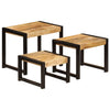 Beistelltisch-Set Prasinia (3 St. Mangoholz)