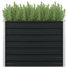 Anthrazitfarbene Gartenbox Casandra 100x100x77cm (verzinkter Stahl)
