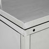 Edelstahl-Mülltonnenbox Diu 240 l
