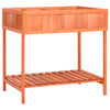 Kräuterbeet Badoiu 80x60x80cm (Fichte)