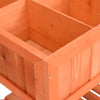 Kräuterbeet Badoiu 80x60x80cm (Fichte)