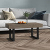 Couchtisch Stancutu grau und schwarz 90x45x40cm (MDF und Eisen)