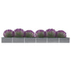 Graues Hochbeet Hareclia 600x80x45cm (verz. Stahl)