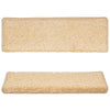 Treppenmatten Vitold braun 65x21x4cm (15 St.)