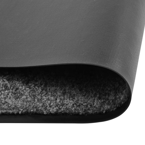 Anthrazitfarbene Fußmatte Chisnar 40x60cm (waschbar)