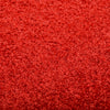 Rote Fußmatte Chisnar 90x150cm (waschbar)