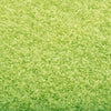Grüne Fußmatte Chisnar 90x120cm (waschbar)