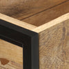 Blumenkasten Antonia 90x20x68cm (rohes Mangoholz)