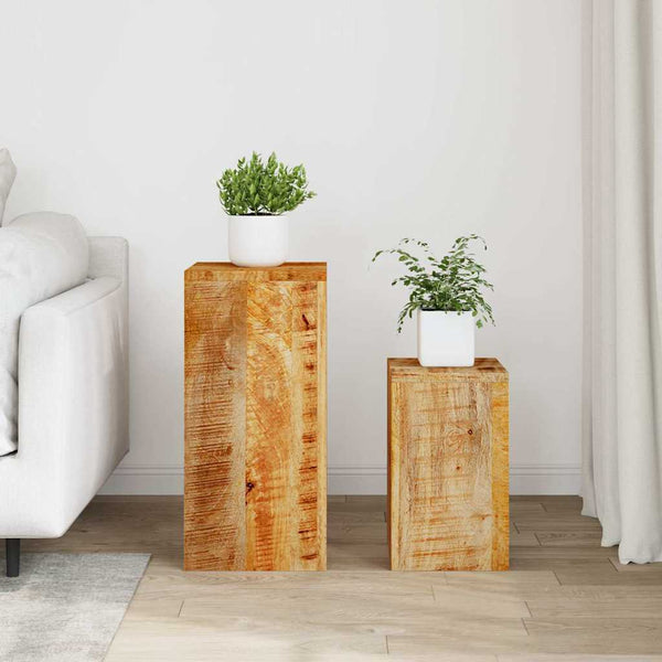 Blumenständer Iorgachis (2er-Set Mangoholz)