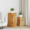 Blumenständer Iorgachis (2er-Set Mangoholz)