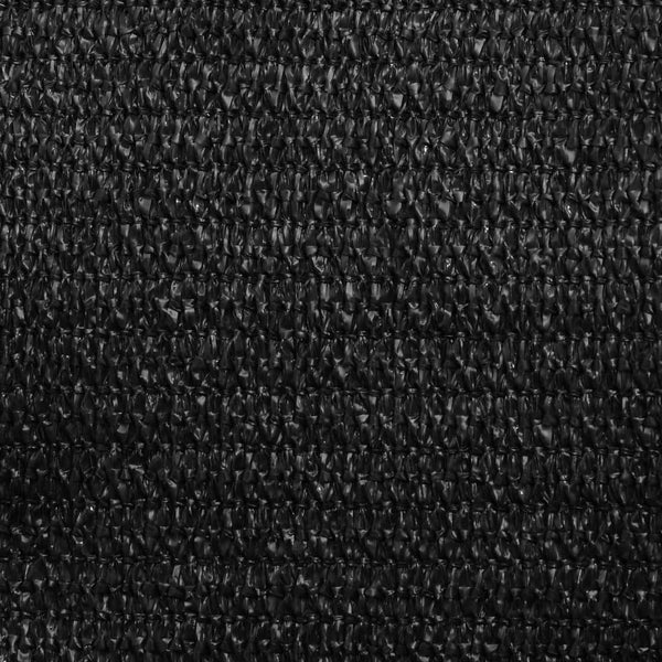 Sonnensegel Cristodora 2x4,5 m schwarz (160 g/m² HDPE)