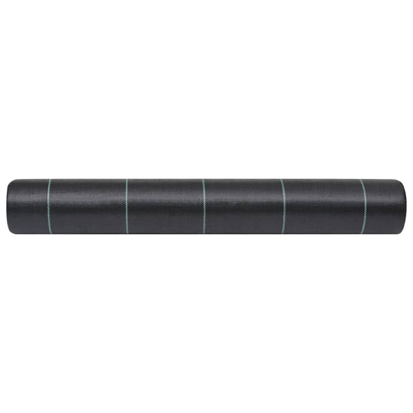 Schwarze Unkraut- und Wurzelbarriere von Ecsterina 2x10 m (PP)