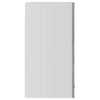 Betongrauer Wandschrank mit Glas Pompilas 60x31x60cm (Holz)