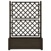 Mokka Blumenkasten mit Spalier Cionka 100x43x142cm (pp)
